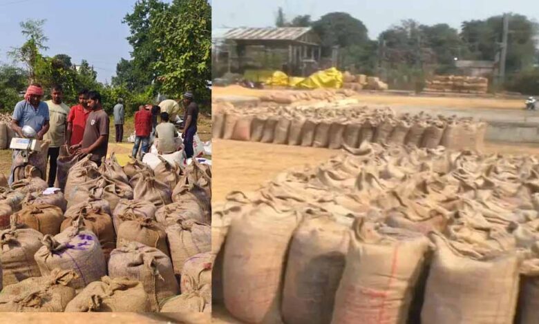 धान-का-21-क्विंटल-प्रति-एकड़-के-हिसाब-से-हो-रहा-उपार्जन,-अफवाहों-पर-ध्यान-न-दें-किसान