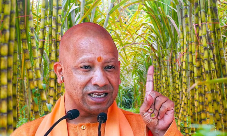 बॉटलनेक-से-ब्रेकथ्रू-स्टेट:-खेत-से-खुशहाली-तक-पहुंचे-यूपी-के-किसान