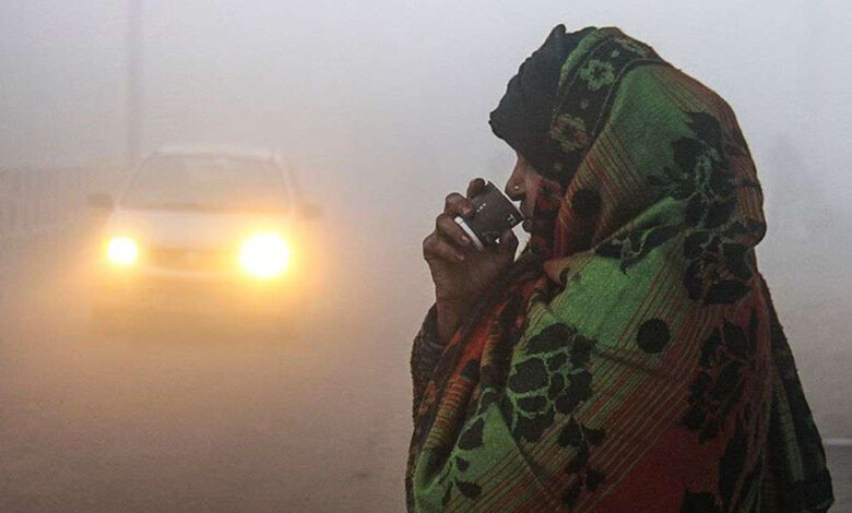 mp-में-पारा-गिरकर-4.6-डिग्री,-कोल्ड-वेव-का-असर:-भोपाल-इंदौर-भी-ठंडे,-ग्वालियर-चंबल-में-कोहरा;-20-के-बाद-मावठा