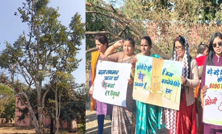 एमपी नगर में बनेगा नया खाद्य भवन, 50 साल पुराने 150 पेड़ काटने की योजना, करेंगे ‘चिपको आंदोलन’