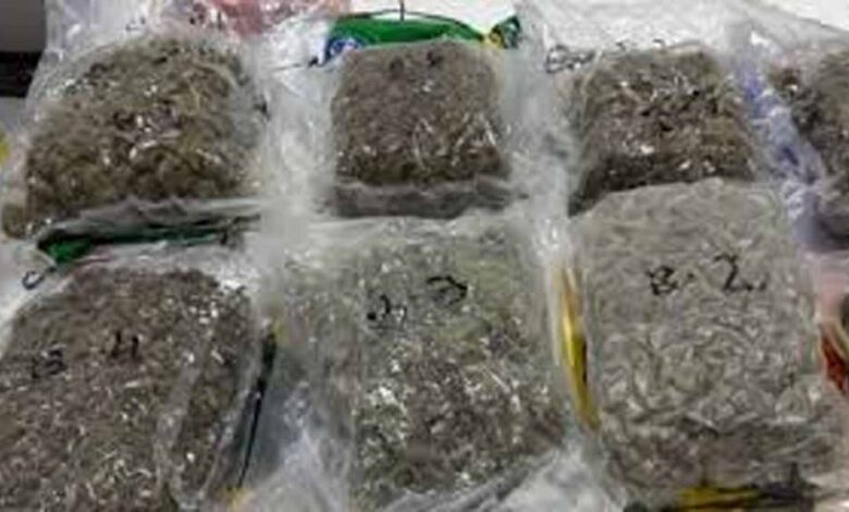 अहमदाबाद एयरपोर्ट पर बड़ा ड्रग्स रैकेट बेनकाब, 12.50 करोड़ की खेप जब्त, 4 तस्कर गिरफ्तार