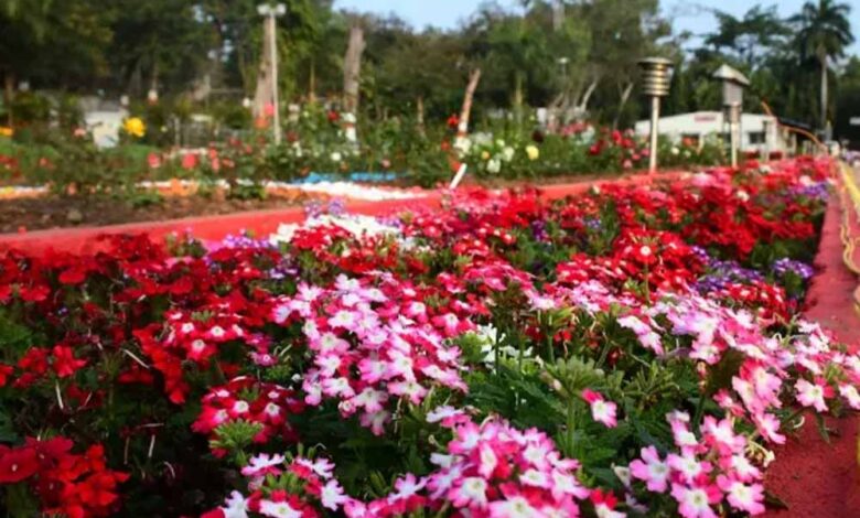 पुष्प-उत्पादन-को-दिया-जायेगा-व्यवसायिक-स्वरूप-:-उद्यानिकी-मंत्री-श्री-कुशवाह