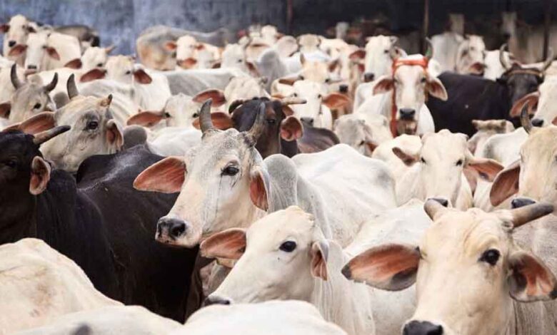 किर्गिस्तान-का-सख्त-फैसला:-भारत-से-पशु-उत्पादों-पर-बैन,-बताया-बड़ा-स्वास्थ्य-खतरा