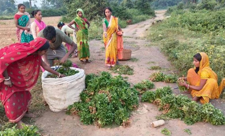 खेती-में-डिजिटल-टेक्नोलॉजी-व-डेटा-का-होगा-इस्तेमाल