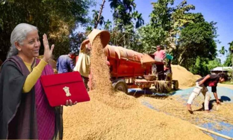 बजट-2026-का-बड़ा-ऐलान:-किसानों-के-लिए-लॉन्च-हुआ-ai-टूल,-अब-तकनीक-बताएगी-कब-और-कैसे-करें-खेती