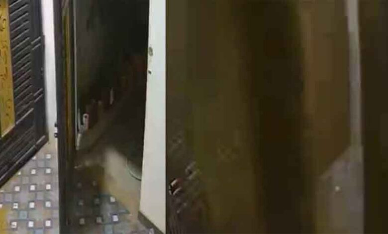 घर-के-अंदर-अचानक-फटी-जमीन,-तेज-धार-से-फूट-पड़ा-पानी;-दहशत-में-परिवार