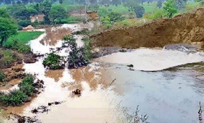 जबलपुर-में-बरगी-बांध-की-नहर-फूटी,-6-गांवों-और-खेतों-में-घुसा-पानी
