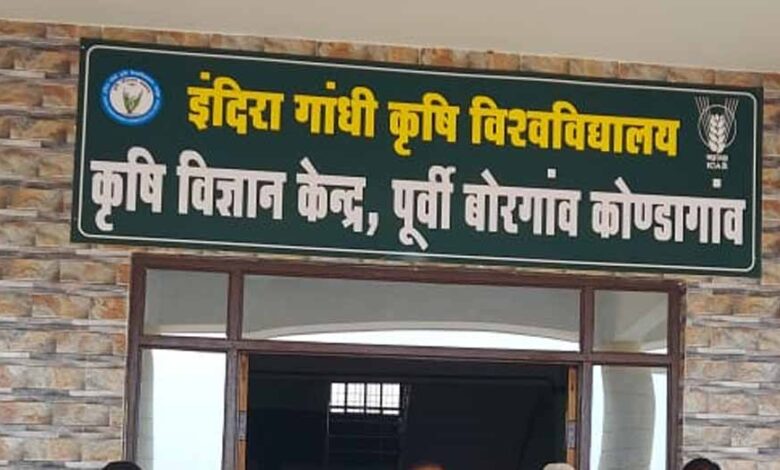 कोंडागांव-जिले-में-कसावा-की-खेती:-कृषि-विज्ञान-केंद्र-का-नवाचार