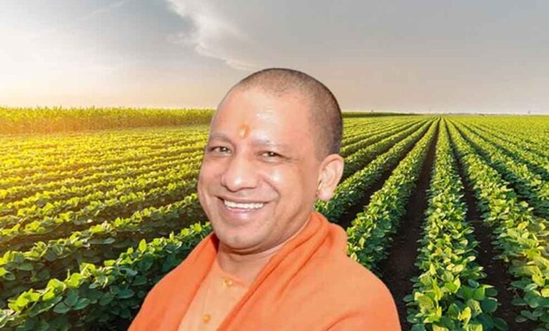 किसानों-के-लिए-गेमचेंजर!-cm-योगी-का-नया-इंटरक्रॉपिंग-फॉर्मूला,-बढ़ाएगी-आपकी-आय