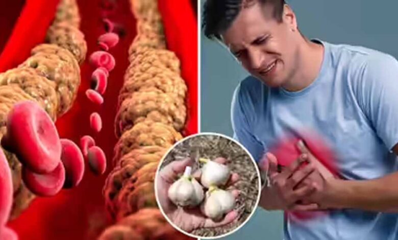 सुबह-लहसुन-खाना:-क्या-वाकई-घटता-है-कोलेस्ट्रॉल?-जानिए-पूरी-सच्चाई