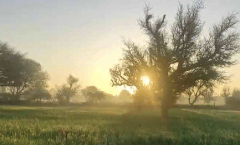 छत्तीसगढ़-में-ठंड-से-बनी-रहेगी-राहत,-लगातार-तीसरे-दिन-सबसे-अधिक-तापमान-दर्ज