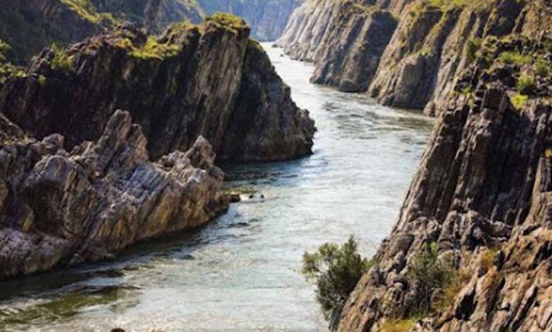 ngt-ने-दी-चेतावनी:-नर्मदा-नदी-की-सेहत-को-लेकर-मध्य-प्रदेश-से-मांगी-रिपोर्ट