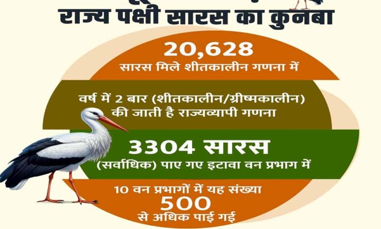 इटावा-वन-प्रभाग-में-पाए-गए-सर्वाधिक-3304-सारस,-10-वन-प्रभागों-में-यह-संख्या-500-से-अधिक-पाई-गई