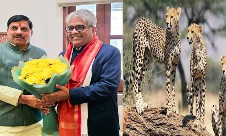 बोत्सवाना-से-28-फरवरी-को-मध्यप्रदेश-आएंगे-8-चीते-:-मुख्यमंत्री-डॉ.-यादव