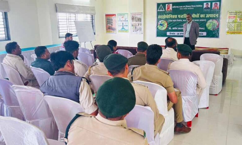 हाइड्रोपोनिक्स से टेरेस गार्डन को मिल रही नई दिशा