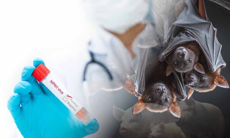 बांग्लादेश-में-निपाह-वायरस-का-खतरा-बढ़ा,-कच्चा-खजूर-रस-पीने-से-महिला-की-मौत,-who-ने-जारी-किया-चेतावनी