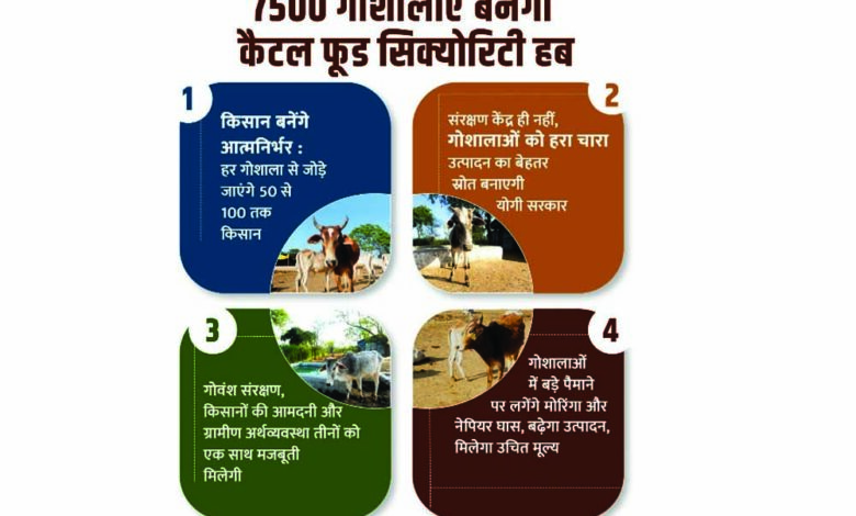 7500-गोशालाएं-बनेंगी-कैटल-फूड-सिक्योरिटी-हब