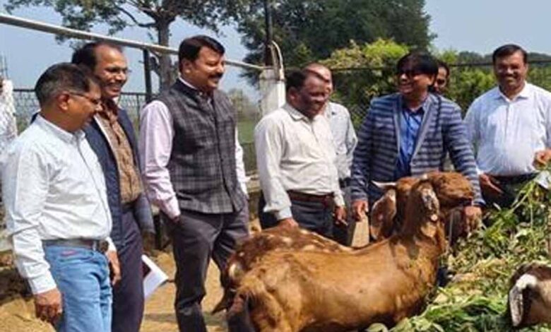 कृषि-और-पशुपालन-किसानों-के-लिए-बन-रहा-लाभकारी-व्यवसाय