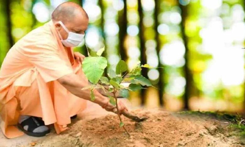 योगी-सरकार-2026-में-पूरे-प्रदेश-में-लगाएगी-35-करोड़-पौधे