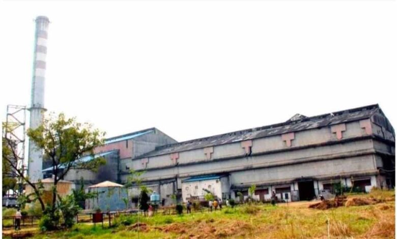 होली-से-पहले-गन्ना-किसानों-को-बड़ी-सौगात,-भोरमदेव-शक्कर-कारखाने-ने-जारी-किए-₹4.73-करोड़