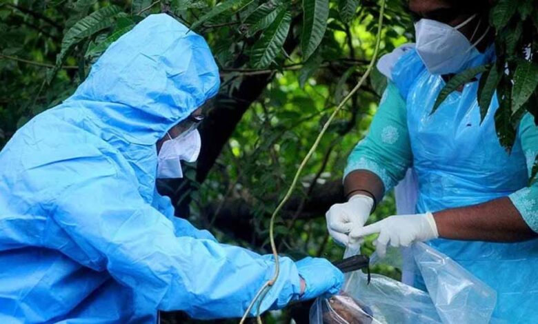 निपाह-वायरस-से-देश-में-पहली-मौत,-टेस्ट-निगेटिव-के-बाद-नर्स-की-हार्ट-अटैक-से-गई-जान