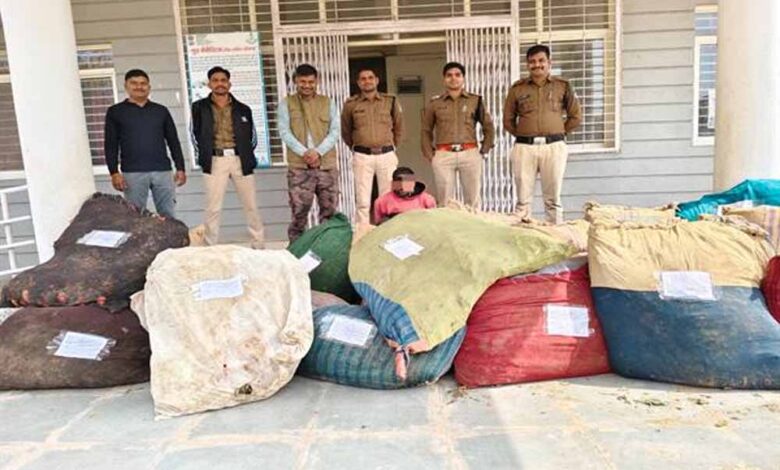 मध्यप्रदेश-पुलिस-की-अवैध-मादक-पदार्थ-के-विरुद्ध-बड़ी-कार्रवाई