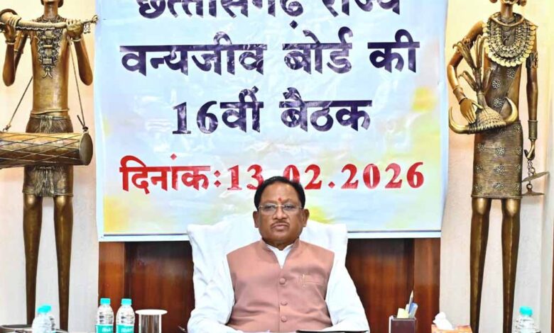 वन्यजीवों के प्राकृतिक आवास की सुरक्षा और सह-अस्तित्व के सिद्धांतों के अनुरूप हो सभी गतिविधियों का संचालन : मुख्यमंत्री  साय