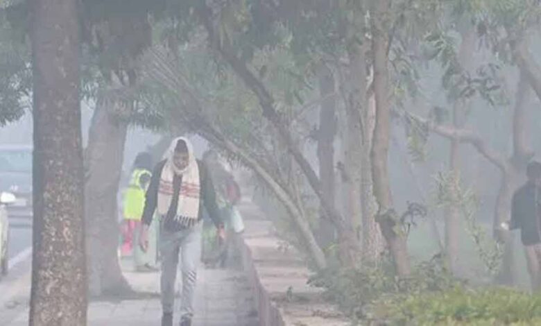 वैलेंटाइन-डे-पर-मौसम-रहेगा-साफ!,-अगले-7-दिन-बड़े-बदलाव-के-संकेत-नहीं