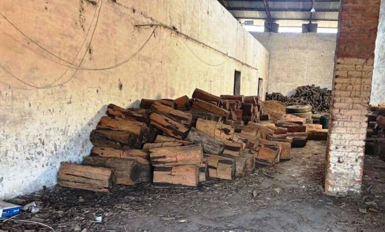 खैर-लकड़ी-की-अंतर्राज्यीय-तस्करी-का-भंडाफोड़