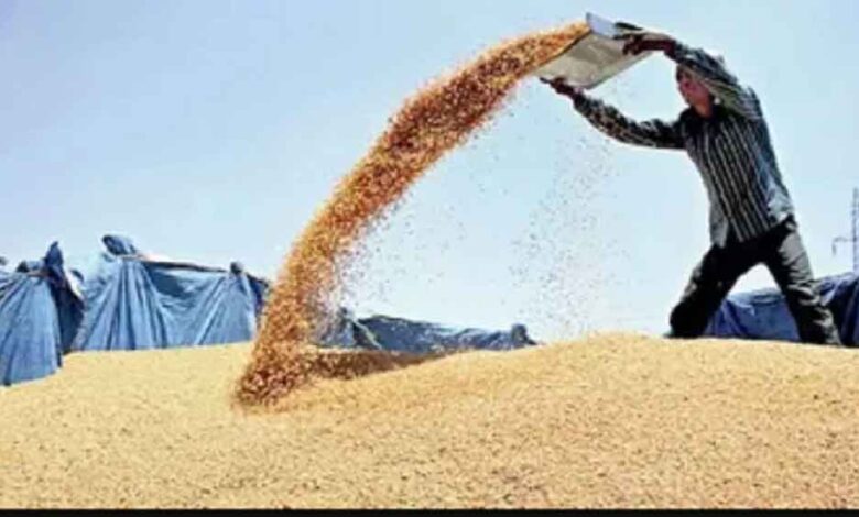 1.81-लाख-किसानों-ने-कराया-गेहूं-उपार्जन-के-लिए-पंजीयन,-मंत्री-राजपूत-ने-दी-जानकारी