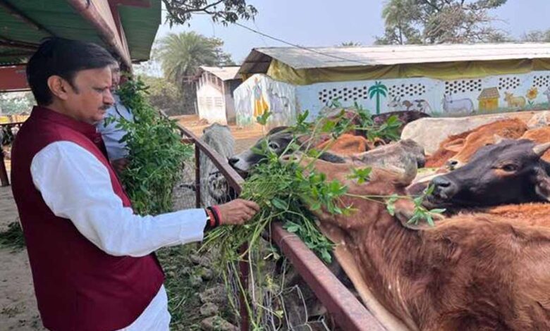उप-मुख्यमंत्री-शुक्ल-ने-लक्ष्मणबाग-गौशाला-का-किया-भ्रमण