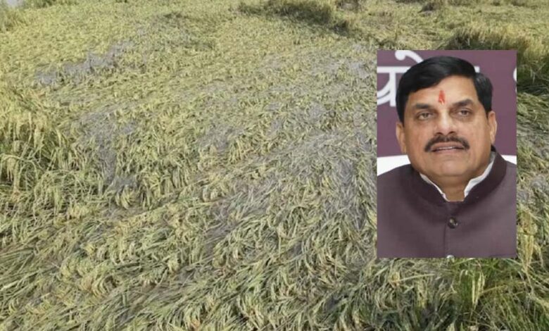 एमपी के 25 जिलों में बारिश से फसलें बर्बाद, सीएम मोहन ने दिए तत्काल राहत के निर्देश