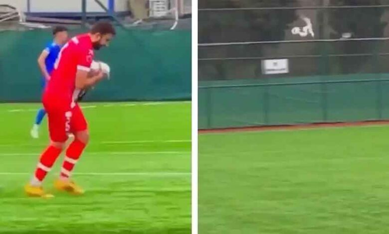 लाइव मैच में पक्षी को लगी गेंद, खिलाड़ी ने दिया CPR, बच गई जान, वीडियो वायरल