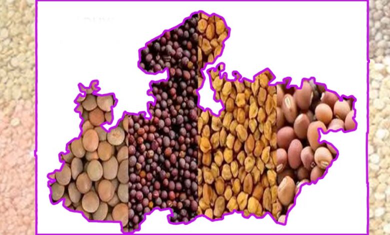 मध्यप्रदेश-कृषि-उत्पादन-में-देश-के-शीर्ष-राज्यों-में,-खाद्यान्न,-दलहन-और-तिलहन-में-अग्रणी