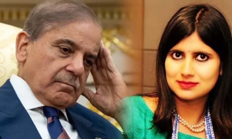 भारत ने UN में खुली पाकिस्तान की पोल, कहा– हमारा कश्मीर बजट IMF कर्ज से भी दोगुना