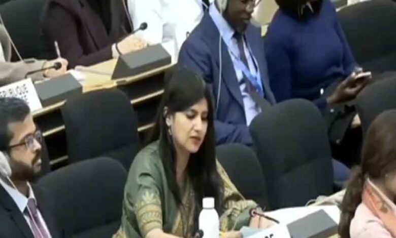 IMF कर्ज से बड़ा जम्मू-कश्मीर का विकास बजट, UN में भारत ने पाकिस्तान को दिया करारा जवाब