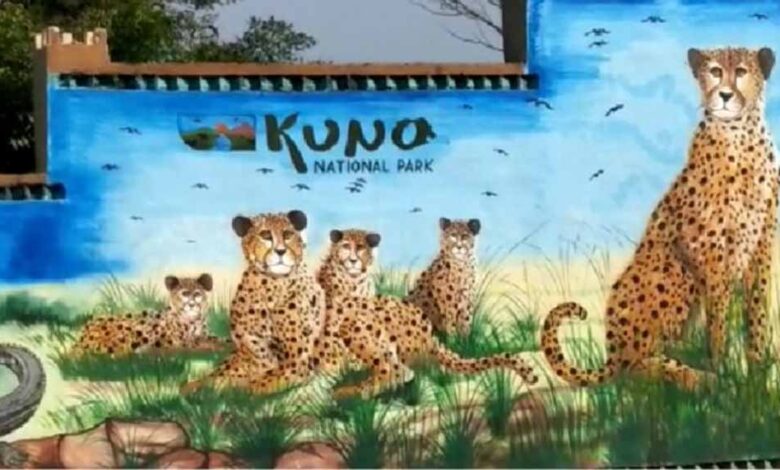 बोत्स्वाना से 28 फरवरी को कूनो पहुंचेंगे 8 चीते