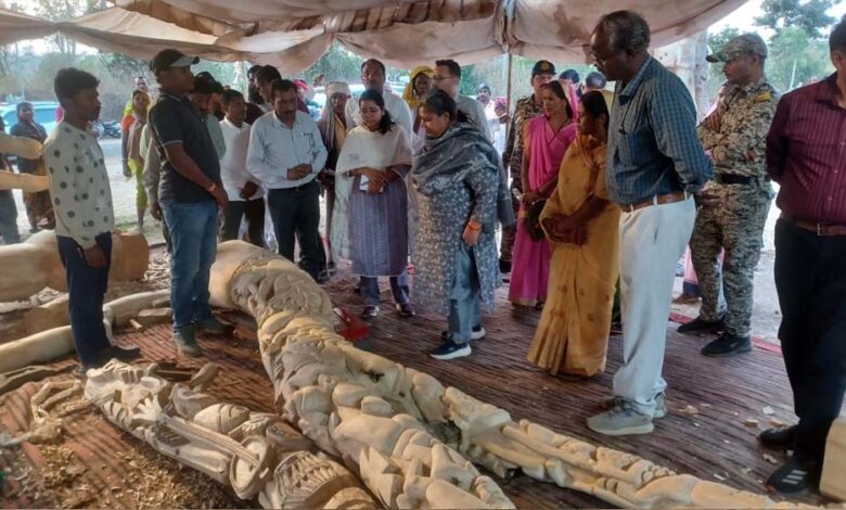 बीजापुरी-नंबर-1-में-काष्ठ-शिल्पियों-के-कार्यों-का-शहडोल-संभाग-की-कमिश्नर-ने-लिया-जायजा